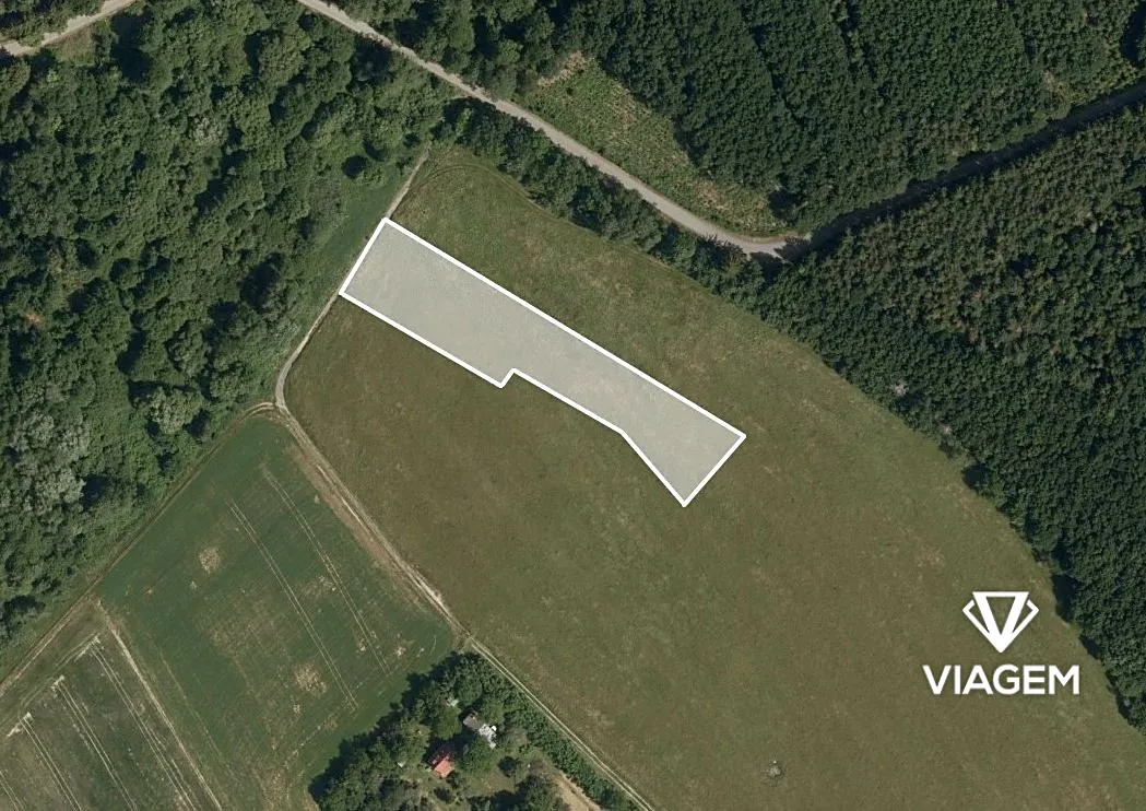 Prodej pole 3705 m²